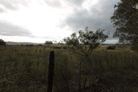 Campo en venta en Maldonado